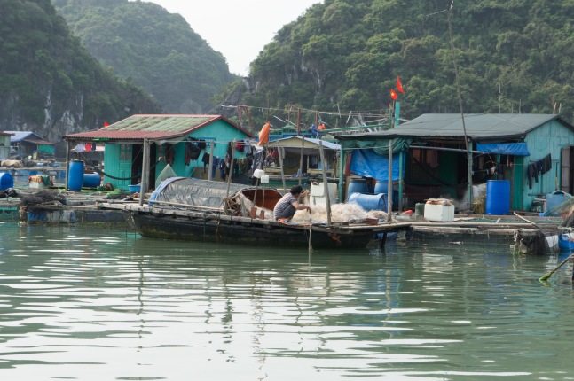 Man preparing nets in a floating village near Cat Ba Island.