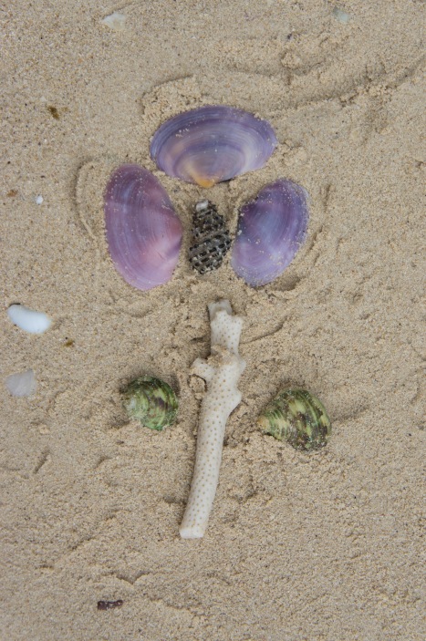 Shell Flower on a beach in Lan Ha Bay